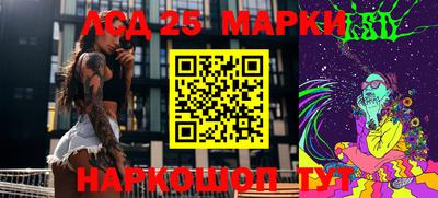 индика Беслан