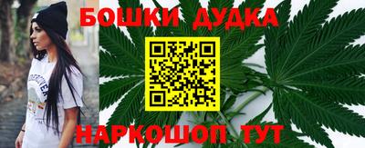 индика Беслан