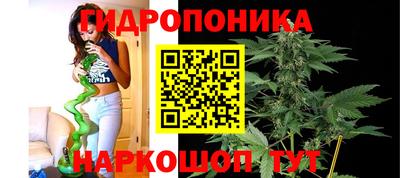 твердый Бийск