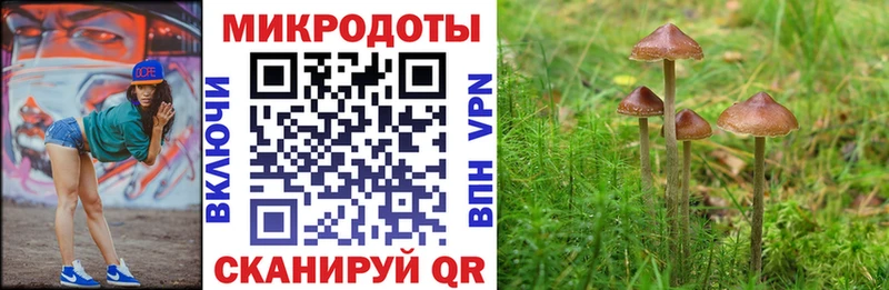 OMG как войти  Новомосковск  Галлюциногенные грибы ЛСД  сколько стоит 