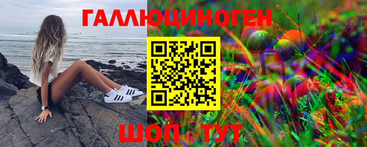 Галлюциногенные грибы мицелий  Вход с VPN  Новомосковск  Галлюциногенные грибы MAGIC MUSHROOMS 